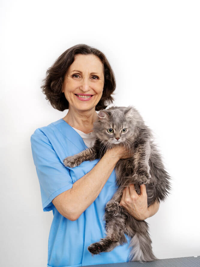 vetrinaian carrying a maine coon cat 
