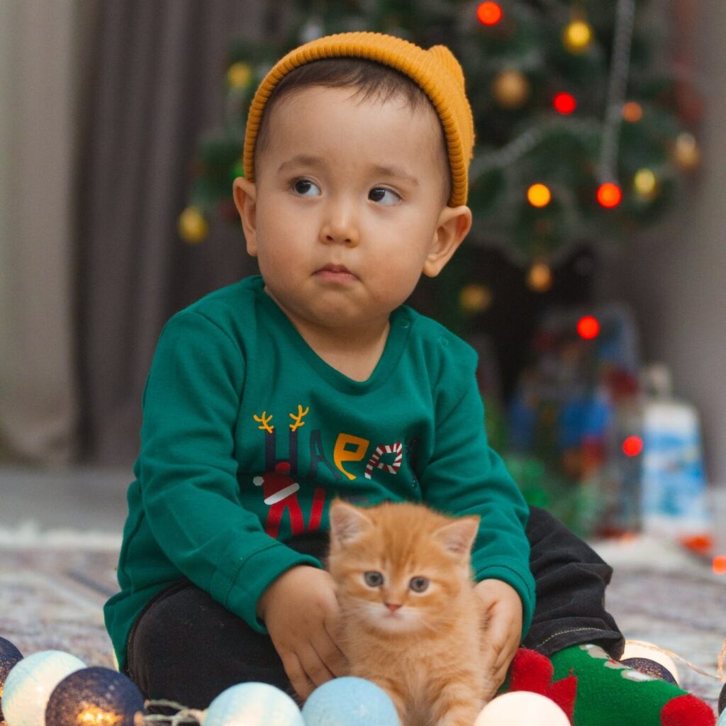 child sittig witha persian kitten in its arms