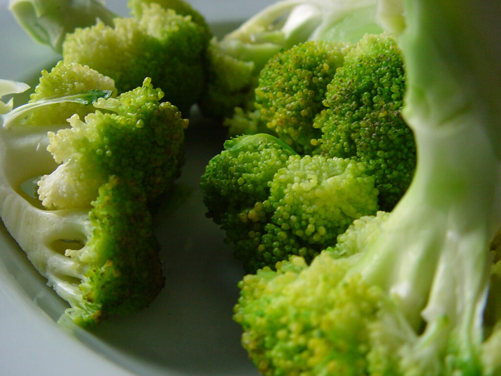 broccoli in a plate