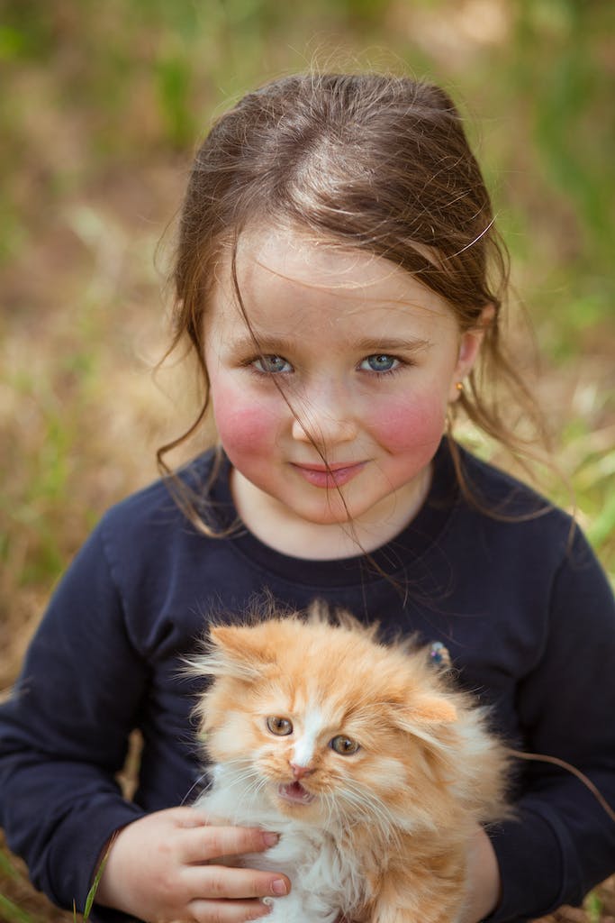 From above portrait of cute little girl looking at camera and meowing kitty with fluffy red fur against blurred background